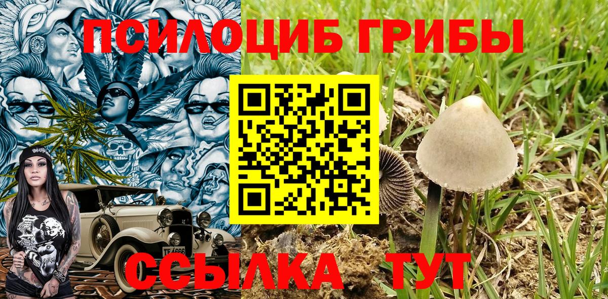Псилоцибиновые грибы мицелий Кызыл